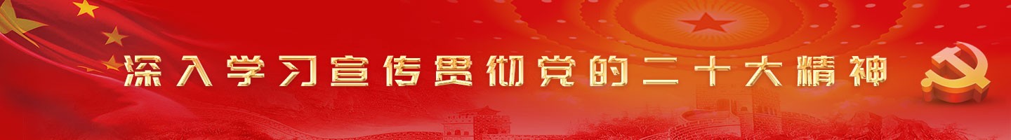 深入學(xué)習(xí)宣傳貫徹黨的二十大精神 